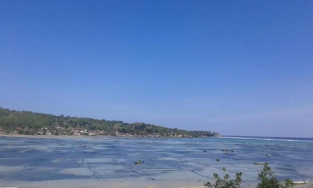 Kusuma Abiakta Sea Side Lembongan Hotel Nusa Lembongan Eksteriør billede